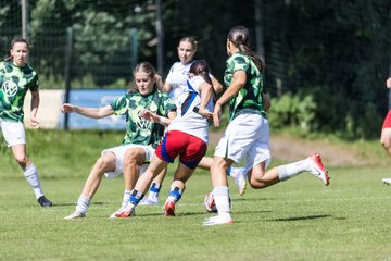 Bild 71 - wBJ Hamburger SV - VfL Wolfsburg : Ergebnis: 5:1